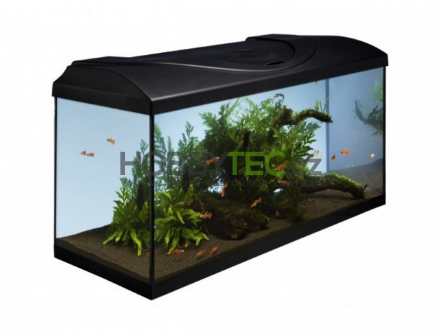 How to get home aquarium?