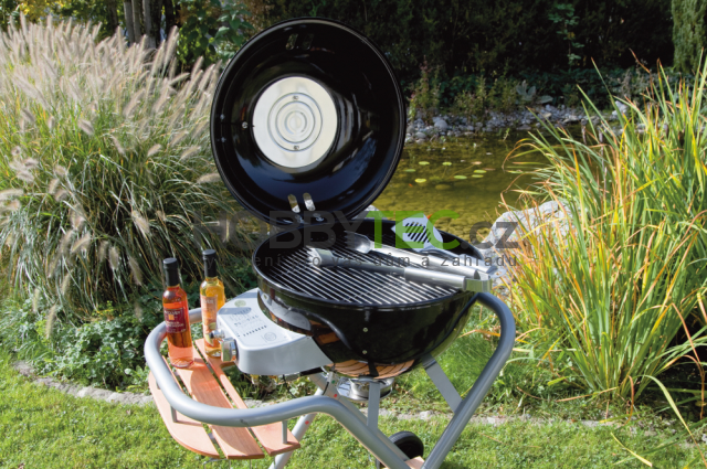 Advantages and disadvantages of gas grill