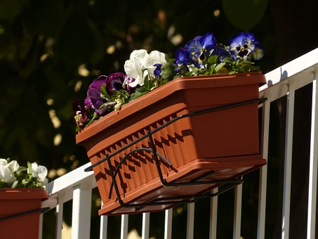 Garden on the balcony