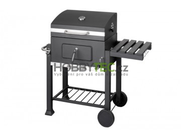 How to choose a grill?