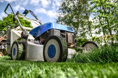 Beautiful lawn in seven steps