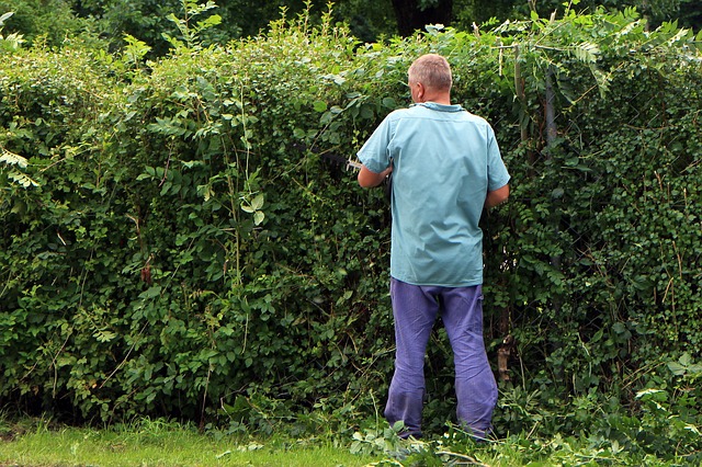 How to cut the fence